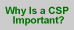 Why Is a CSP Important?